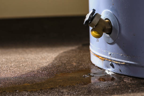 Best Local water damage restoration  in Center Hill, FL