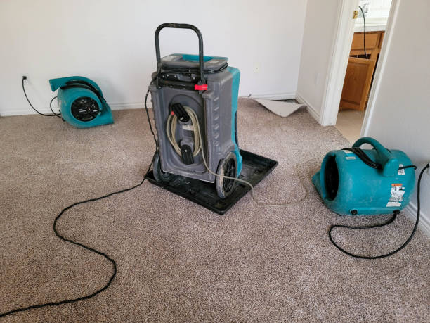 Best Professional water damage repair  in Center Hill, FL