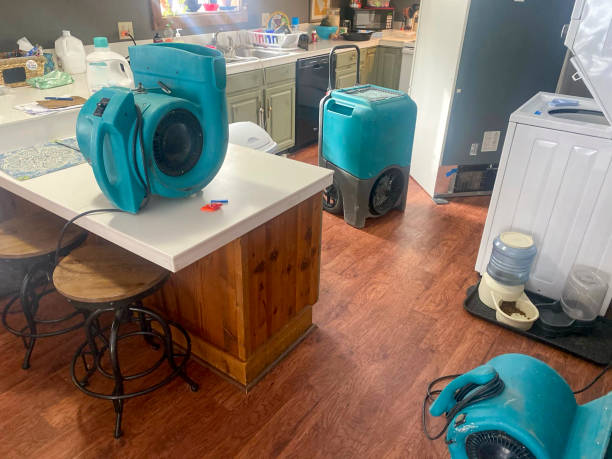 Best Professional water damage repair  in Center Hill, FL