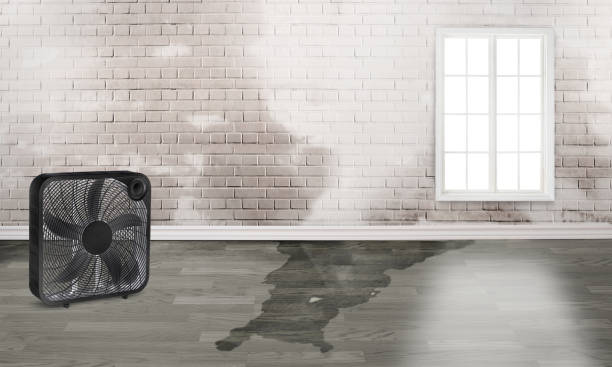 Water damage restoration process in Center Hill, FL