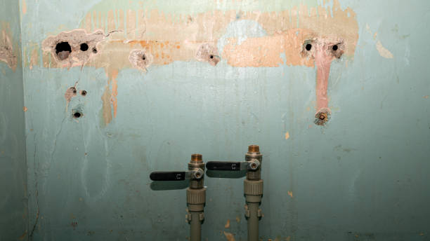 Best 24-hour water damage restoration  in Center Hill, FL