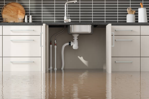 Best Flood damage cleanup  in Center Hill, FL